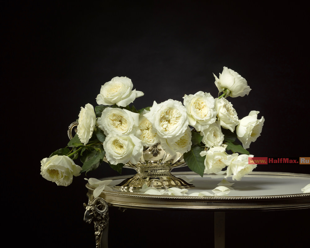 Арт фотография от Полубояринов Максим. Цветы. Без названия